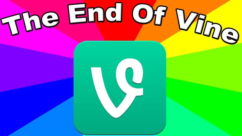 end of vine